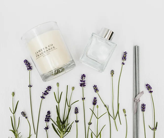 Reed Diffusers vs Candles James & Co Fragrance