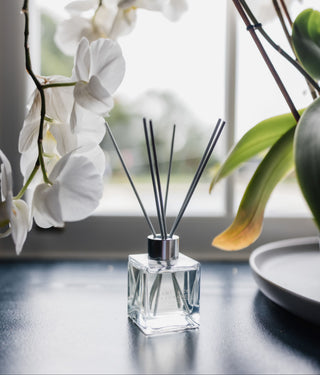 A square glass diffuser bottle, sitting on a dark surface with grey reeds sticking out. With a large white orchid flower sitting beside it.