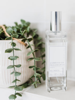 A No.1 White Room Spray next to a white ceramic detailed plant pot with a nice green plant and leaves