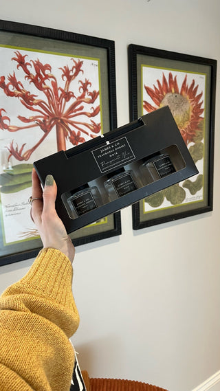 A hand wearing a mustard-yellow jumper holds up a black James & Co Fragrance Dorset gift set containing three mini diffusers. Behind it, two framed botanical prints with red and orange flowers hang on a neutral-coloured wall.