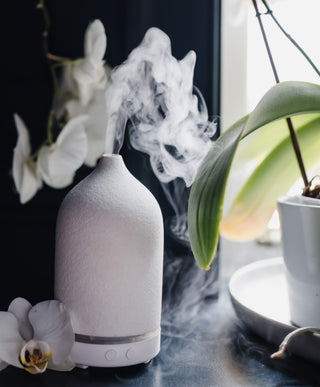 White diffuser emitting mist on a table with plants and a dark background