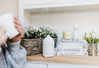 Person holding a mug in a kitchen with a diffuser, books, and plants on a counter.