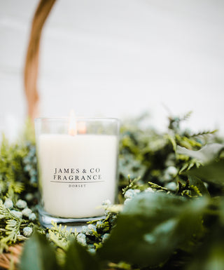 A white glass jar candle sitting amongst various greenary