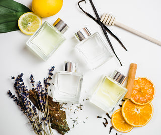 No. 6 Orange Reed Diffuser