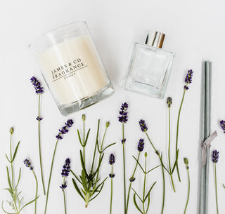 Candle and perfume bottle with lavender flowers on a white background
