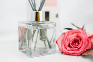 No. 12 Rose & Oud 100ml Reed Diffuser