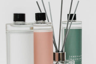 Set of diffusers with reeds and bottles on a white surface