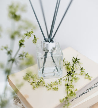 Clear diffuser bottle with black sticks on a light surface with greenery