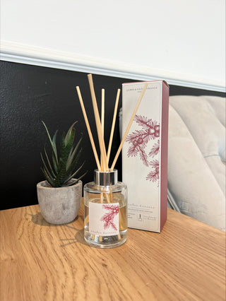 Winter Berries Red Autumnal Reed Diffuser, Fragrance notes of Spiced Berries, Vanilla and Cinnamon 