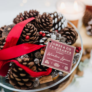 Pinecone potpourri in a christmas themed bowl