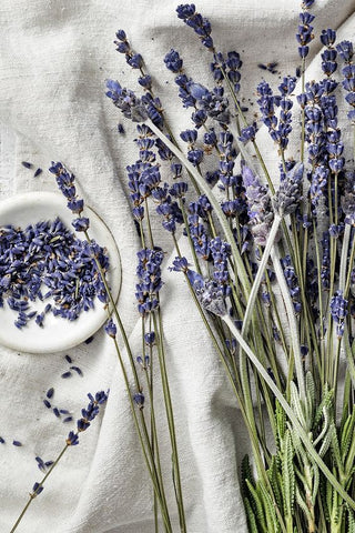 Bouquet of lavender flowers on a white fabric background